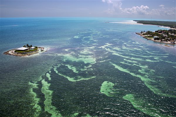 The Florida Keys